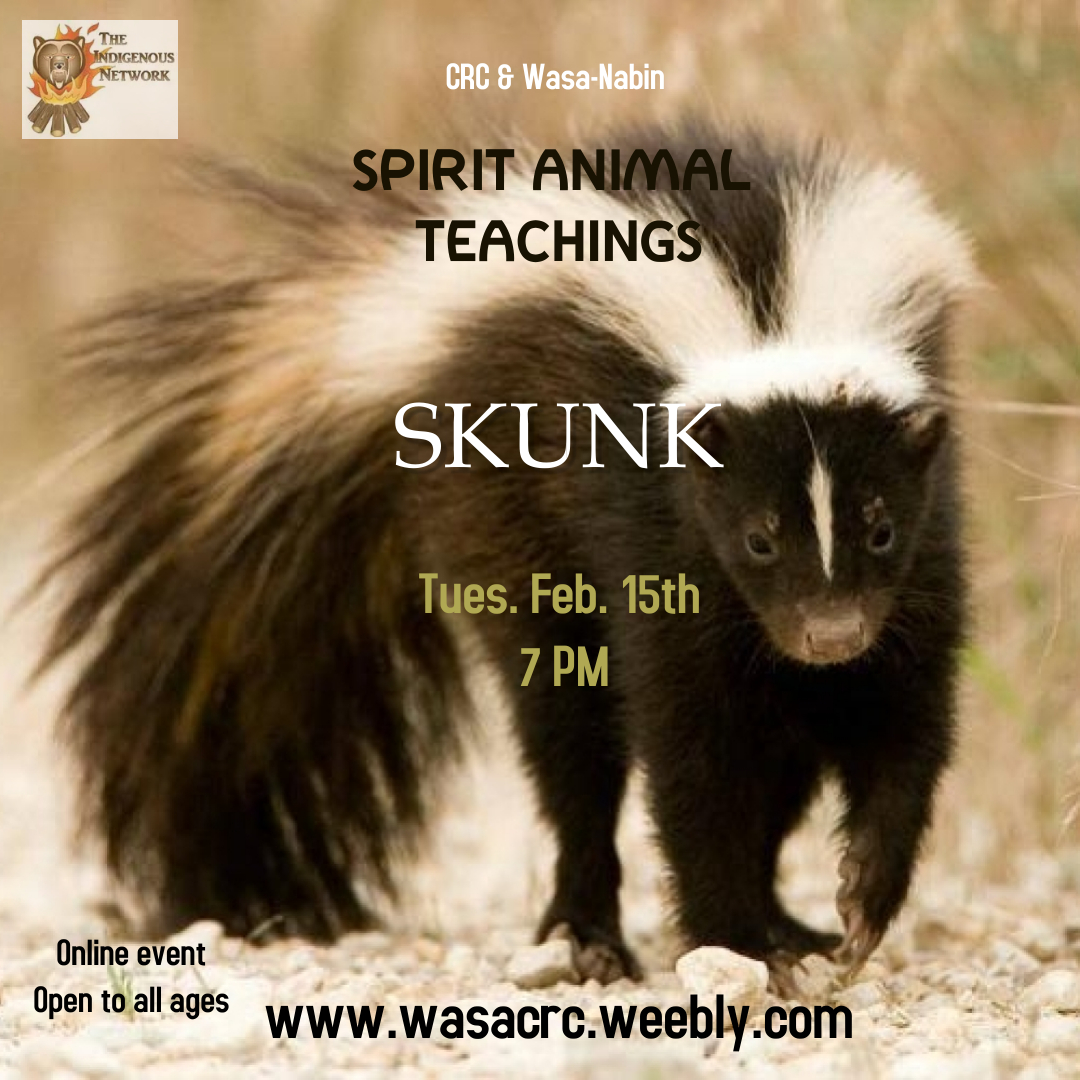 Title text and time with an image of a skunk in the background